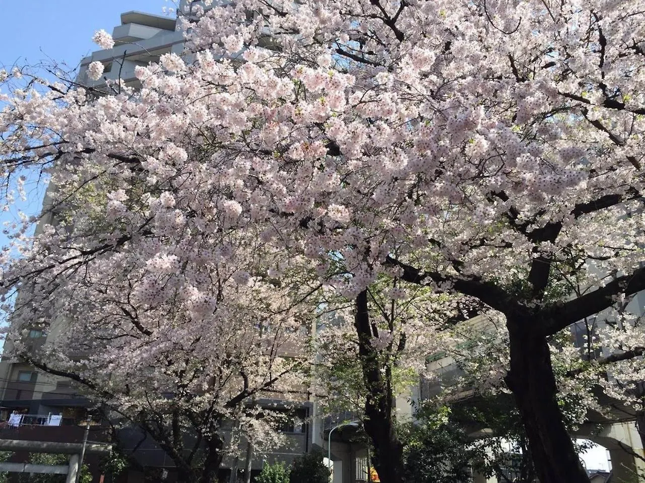 Appartamento H2O Stay Shibuya Anon #A203 Tokyo Giappone